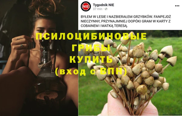 ECSTASY Нея