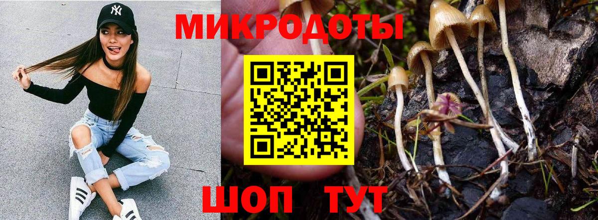 Псилоцибиновые грибы прущие грибы  Псилоцибиновые грибы Psilocybe  Вход с VPN  Кузнецк 