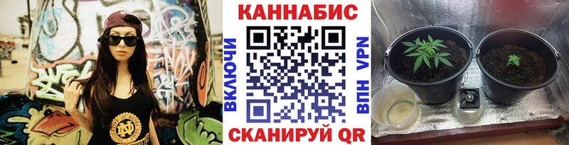 МАРИХУАНА семена  Кузнецк 